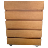 Scandinavisch Design Houten Ladekast , Jaren 70