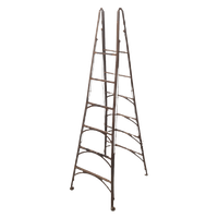 Oude Frans Industriële Metalen Ladder