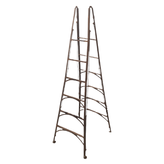 Oude Frans Industriële Metalen Ladder 1