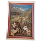 Vintage Lijstje Tirol Edelweiss Droogbloemen Schilderij thumbnail 1