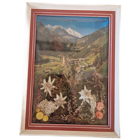 Vintage Lijstje Tirol Edelweiss Droogbloemen Schilderij