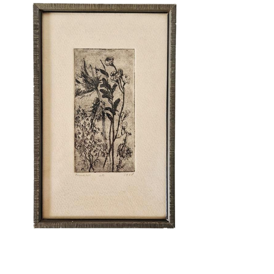 Botanische Ets In Lijst Frurklon Gesigneerd 1948 1