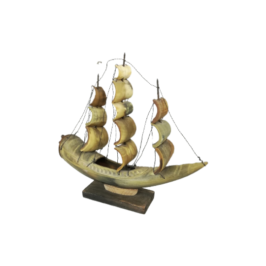 Schip Gemaakt Van Hoorn 1