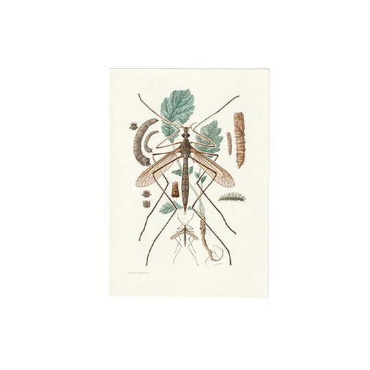 Vintage Print Langpootmug 1