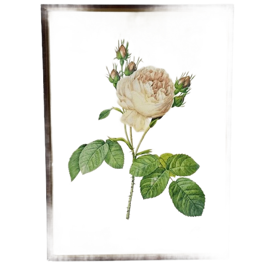 Vintage Schilderij Roze Roos 1