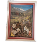 Vintage Lijstje Tirol Edelweiss Droogbloemen Schilderij thumbnail 1