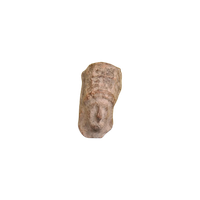 Antiek Terracotta Offergift Hellenistic 400-200V.Chr.