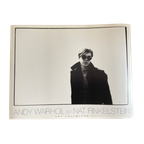 Nat Finkelstein (1933-2009), ‘andy Warhol thumbnail 1