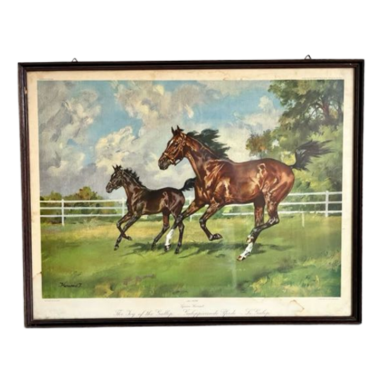 “the Joy Of The Gallop” By Ignace Konrad. Print Nr. 1656 1