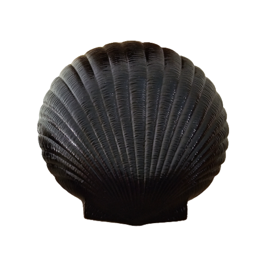 Arcoroc France Zwart Schelp Gebaksbordje 1