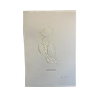 Jessica Toliver, Gewohnlicher Wundklee, Signed Paper-cutting Is One Of Only 50 Limited-edition thumbnail 1