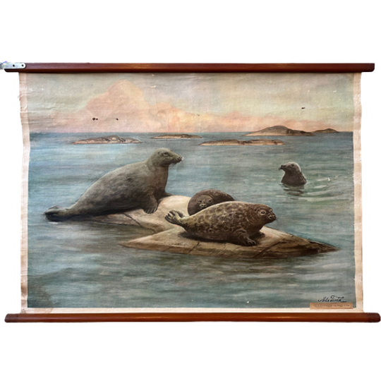 Vintage Linnen Schoolkaart – Zeehonden 1