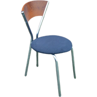 Design Stoel Met Een Verchroomd Onderstel
