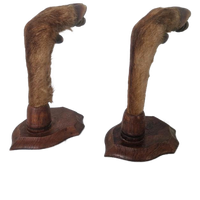 Vintage Hertenpoot Lampen Frans Taxidermy.