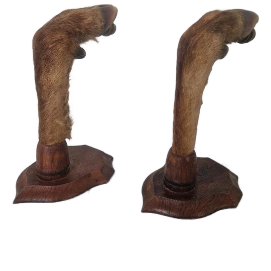Vintage Hertenpoot Lampen Frans Taxidermy. 1