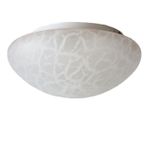 Vintage Plafonierre Mat Glas <<<brand>>>, Jaren '70/'80 thumbnail 1