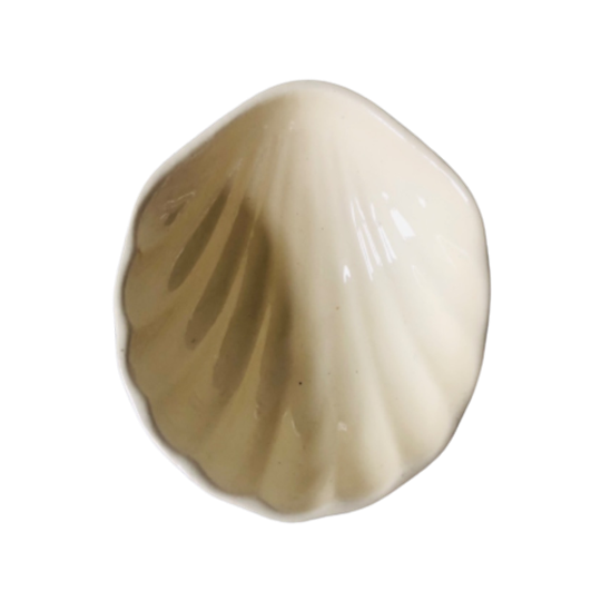 Schelp Schaaltje 1