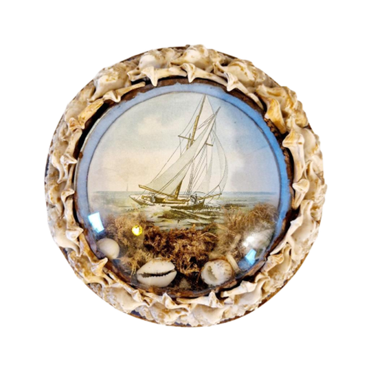 Antiek Bolglas Lijstje Maritiem Schelpen Schilderijtje 1