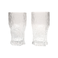 Iittala Aslak Bierglas Set Van 2