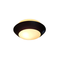 Anvia Ceiling Lamp