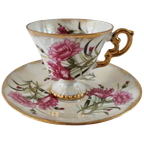 Kop En Schotel Norleans Carnation thumbnail 1