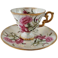 Kop En Schotel Norleans Carnation