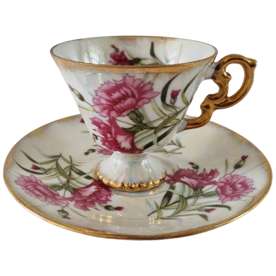 Kop En Schotel Norleans Carnation 1