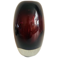 Geblazen Glazen Vaas