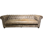 Prachtige Xl Chesterfield 3,5 Zits Bank Vintage Taupe Bruin Leer thumbnail 1