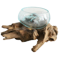 Mondblazen Glazen Glas Op Drijfhout, Anno Nu