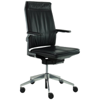 Dynamobel Dis, Zwart Leer