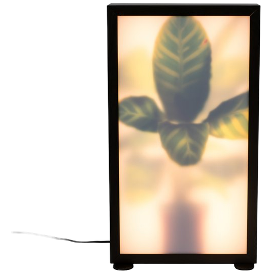 Zuiver Grow Vloerlamp M 1