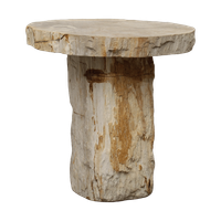 Fossiel Houten Salontafel