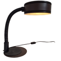 Vintage Belgian Swan-neck Desk Lamp By Massive Lighting