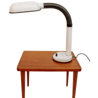 Vintage Hala Bureaulamp Met Buigbare Armatuur, Jaren 50/60