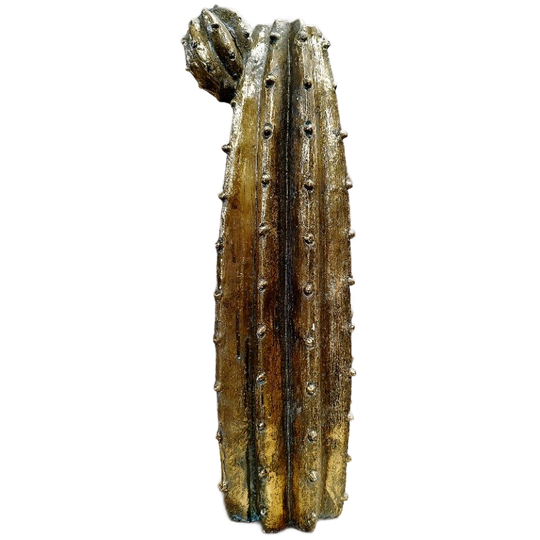 Cactus Vaas 1