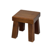Strak Brutalist Plantentafel Bijzettafeltje Massief Eiken