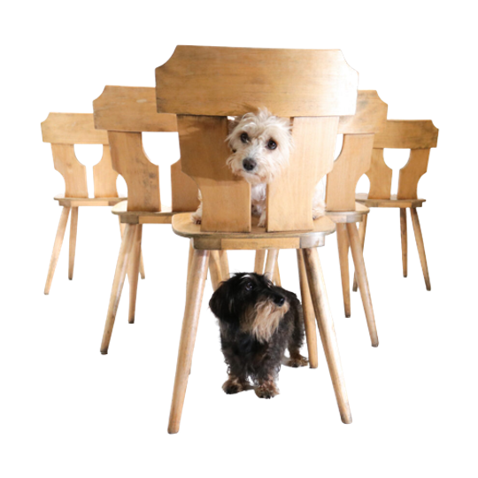 Set Van 6 Brutalist Licht Houten Stoelen Jaren 60 1