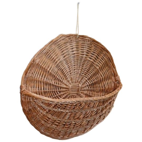 Ruif Van Wilgentenen Voor Aan De Wand 1