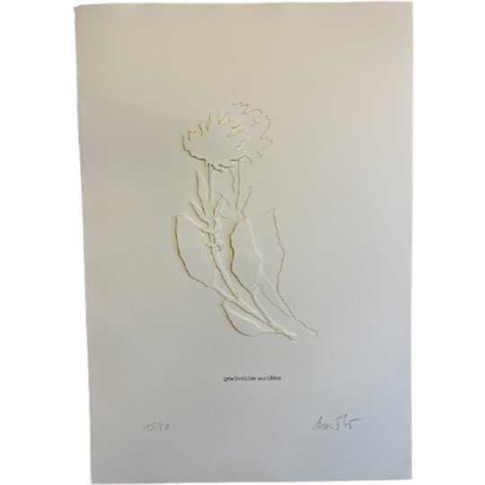 Jessica Toliver, Gewohnlicher Wundklee, Signed Paper-cutting Is One Of Only 50 Limited-edition 1