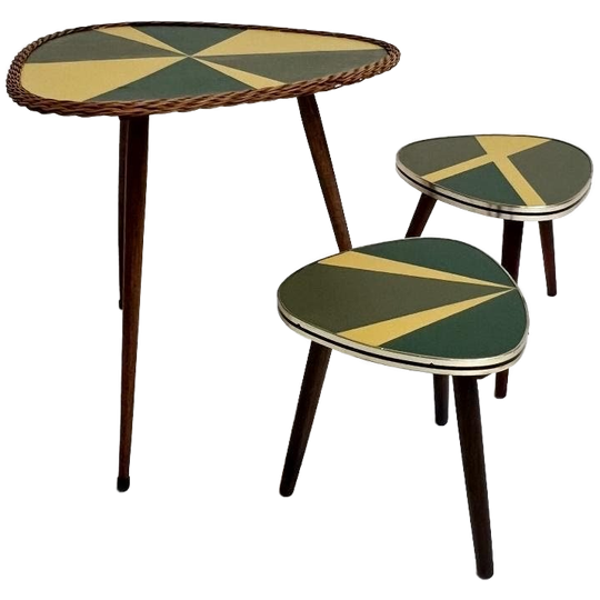 Set Van 3 Gerestaureerde Plantentafels Uit Frankrijk, 1960's 1