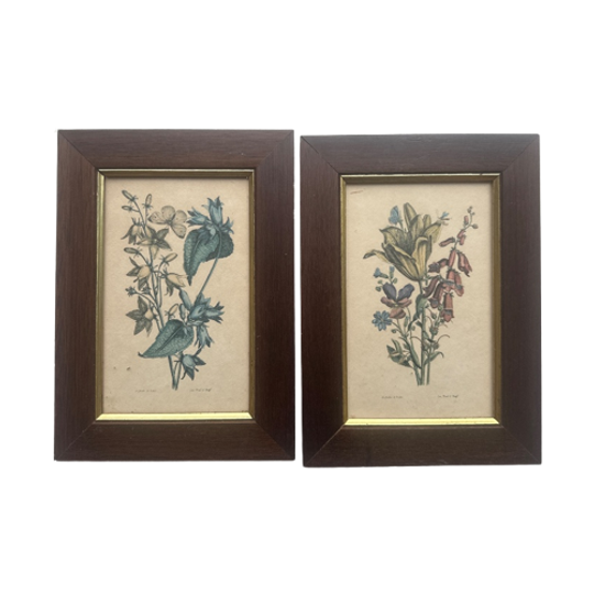 Set Van Twee Vintage Schilderijtjes 1