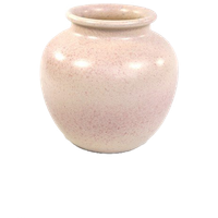 Roze Bol Vaas Spikkels