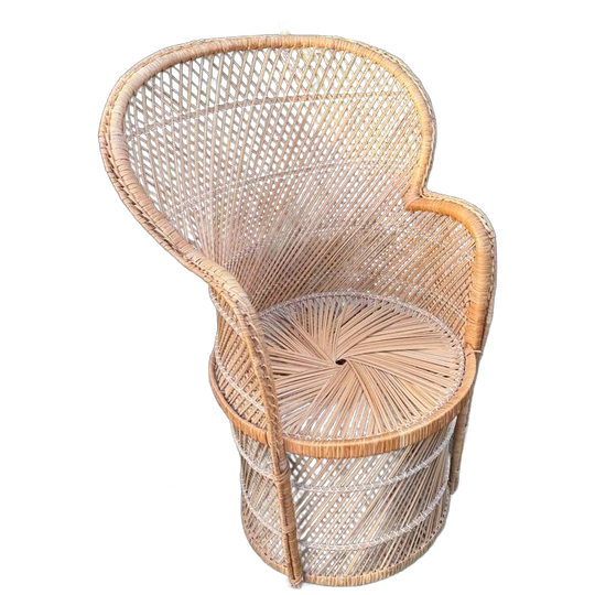Vintage Rotan Pauwenstoel 1
