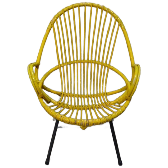 Rohé Noordwolde Rotan Fauteuil Met Metalen Onderstel 1