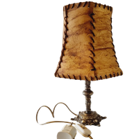 Varkensleer Lamp Met Koperen Poot
