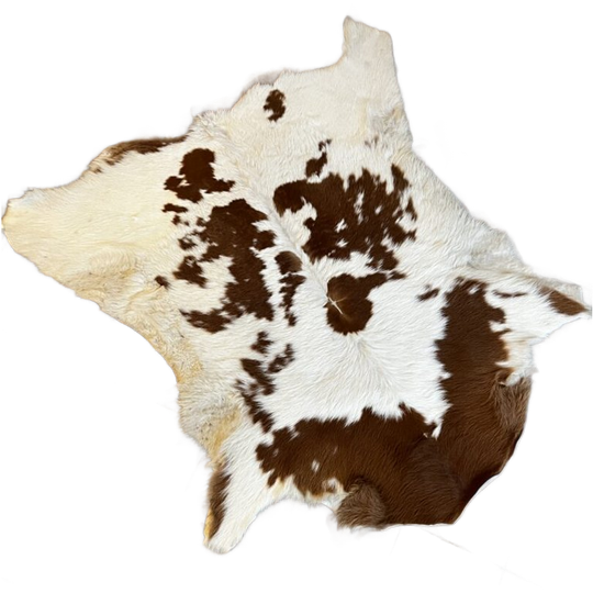 Cowhide Rug 1
