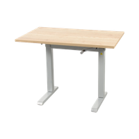 Actiforce Steelforce Pro 220 Zit-sta Bureau - 100 X 60 Cm