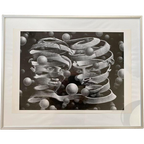 M.C. Escher Art-Print Bond Of Union In Aluminium Lijst thumbnail 1