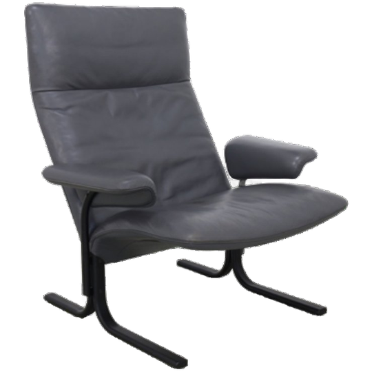 Vintage Fauteuil Leer Ds 2030 De Sede 1980s 1